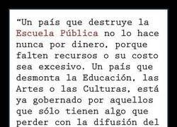 Enlace a Los motivos para desmantelar la educación pública