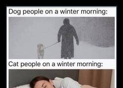 Enlace a Mascotas en invierno