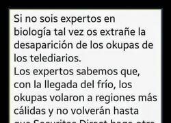 Enlace a ¿Qué ha pasado con los okupas?