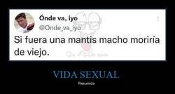 Enlace a Tristísimo