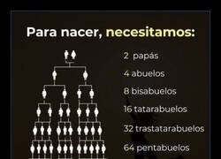 Enlace a Los que te trajeron hasta aquí