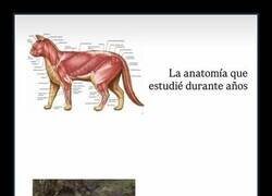 Enlace a Teoría VS Práctica