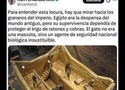 Enlace a Los egipcios adoraban a los gatos, en sentido literal, y si matabas a uno podía costarte muy caro