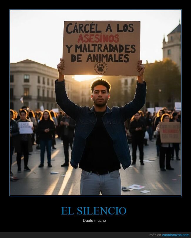 c&aacute;rcel,animales