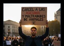 Enlace a Petición animalista