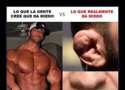 Enlace a El auténtico peligro