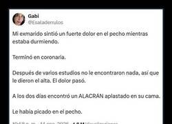 Enlace a Una mala noche