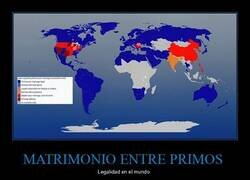 Enlace a Países en los que puedes y no puedes casarte con tu primo