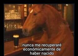 Enlace a A partir de ahí, todo fue cuesta abajo