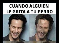 Enlace a Transformación instantánea