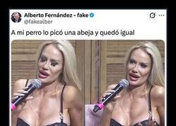 Enlace a Entrenamiento puro y duro