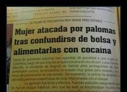 Enlace a Pequeño descuido