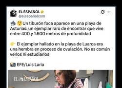 Enlace a Extraño ejemplar