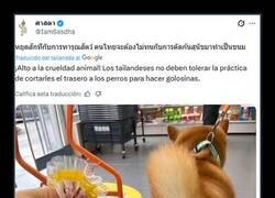 Enlace a Inadmisible