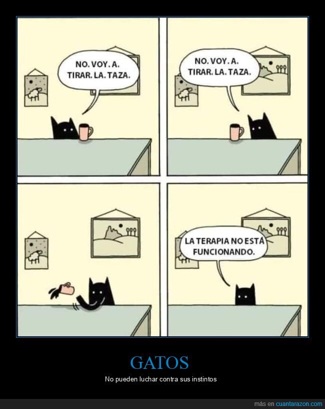 gato,taza,tirar,terapia