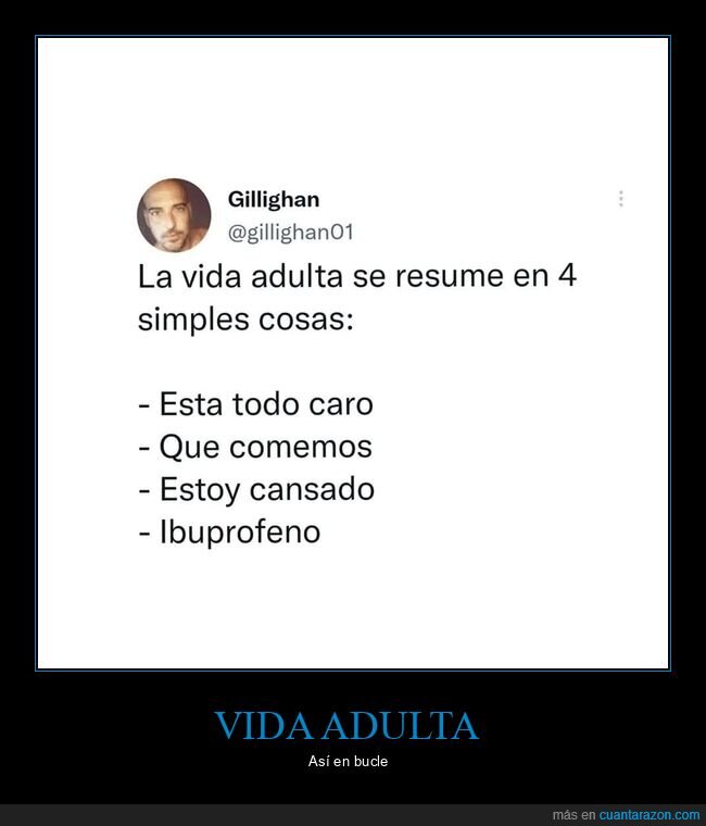 vida adulta,resumida