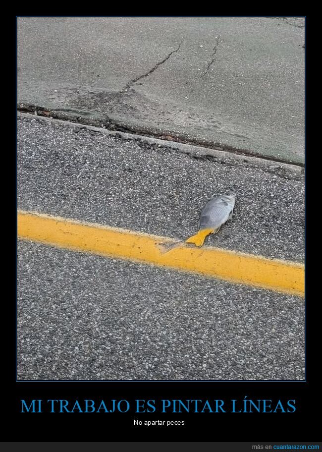 l&iacute;nea,carretera,pintura,pez