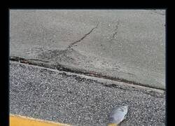 Enlace a Limitándose a su tarea