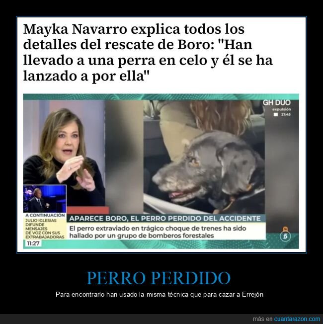 perro,adamuz,rescate,celo