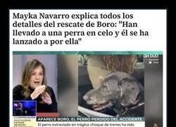 Enlace a El rescate de Boro