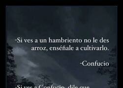 Enlace a Dos citas célebres