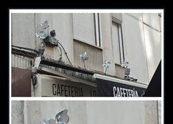 Enlace a Esa paloma no se achanta