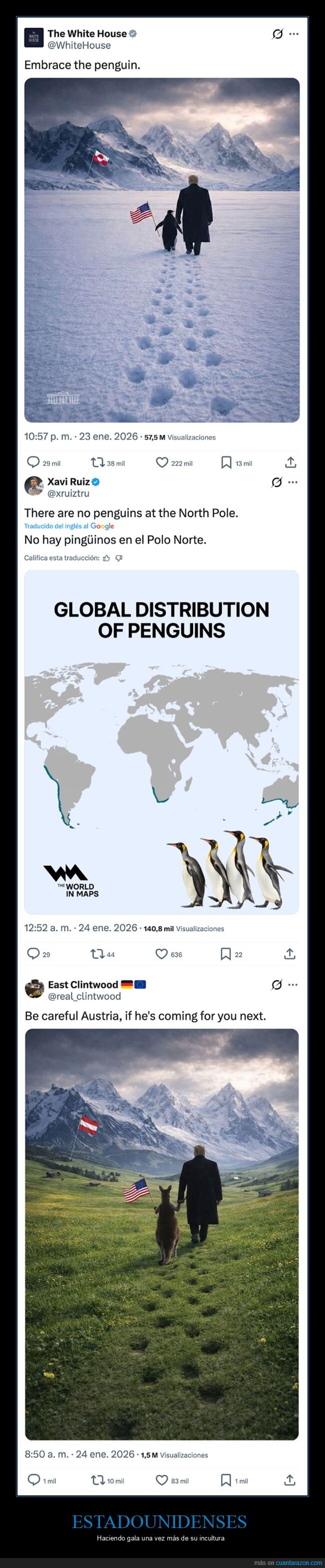 casa blanca,groenlandia,ping&uuml;inos