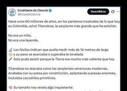 Enlace a Menudo bicho...