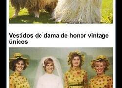 Enlace a Novias que deberían habérselo pensado mejor al comprar su vestido para la boda