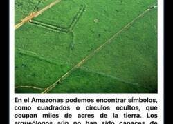 Enlace a Famosos misterios de la naturaleza que la ciencia no ha conseguido explicar