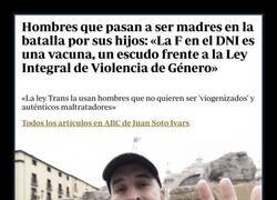 Enlace a Hecha la ley, hecha la trampa