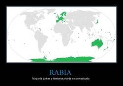 Enlace a Lugares libres de rabia