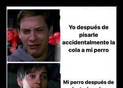 Enlace a Una relación desigual