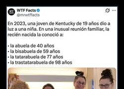 Enlace a Una familia de madres precoces