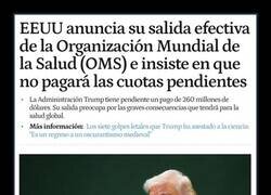 Enlace a EEUU sale de la OMS