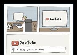 Enlace a Un momento de relax