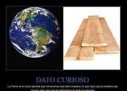 Enlace a Madera > Diamantes