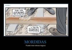 Enlace a Son exactamente lo que parecen