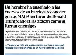 Enlace a El adiestrador de cuervos