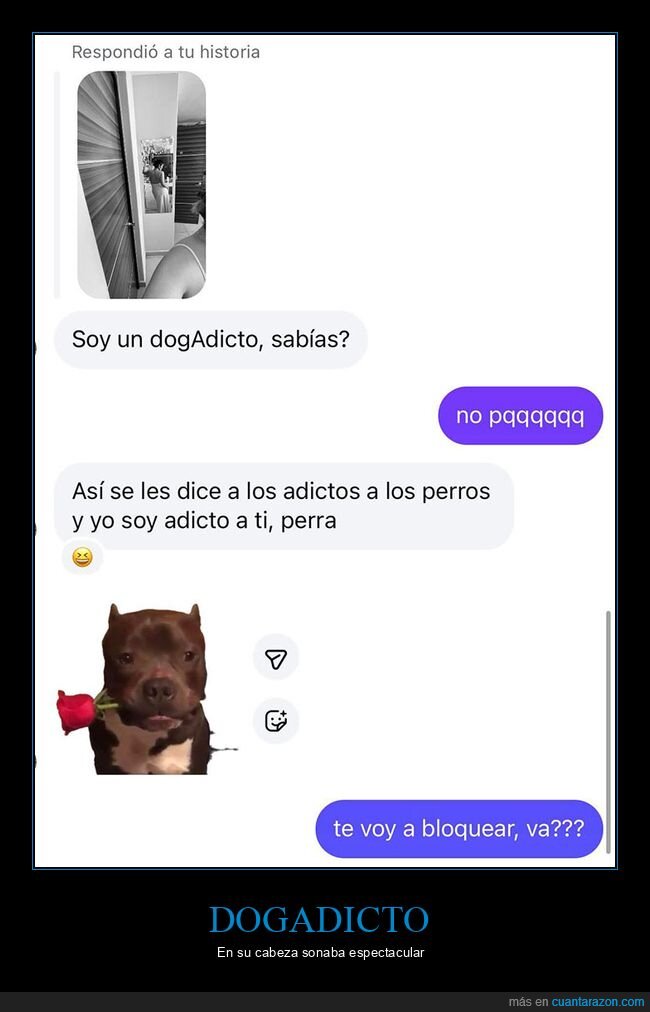 fails,ligando,perros