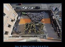 Enlace a Un día al año hacemos la paloma; mañana, patio y broncas como siempre