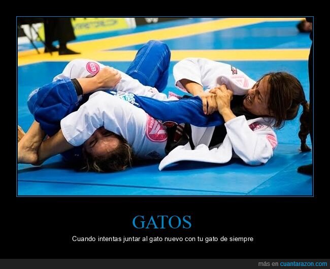 michi,celos,territorio,convivencia,pelea