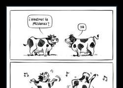 Enlace a El chistaco del día