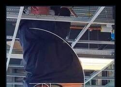 Enlace a Yo no tengo barriga, tengo geometría