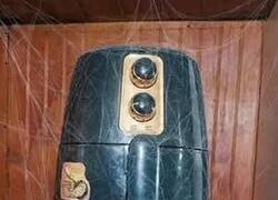 Enlace a Freidora de aire, ¿alguien las sigue usando?