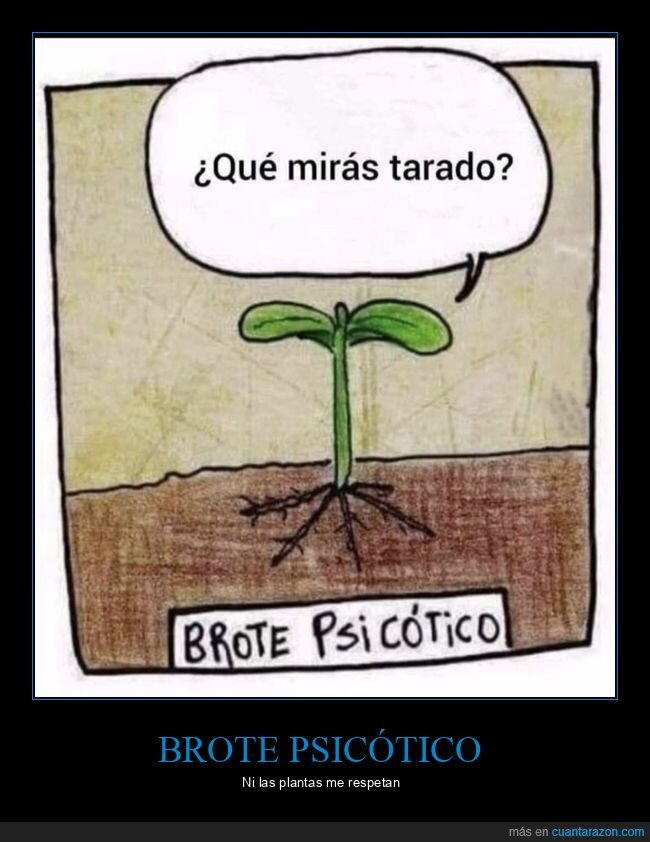 planta,insulto,vi&ntilde;eta,brote,humillaci&oacute;n