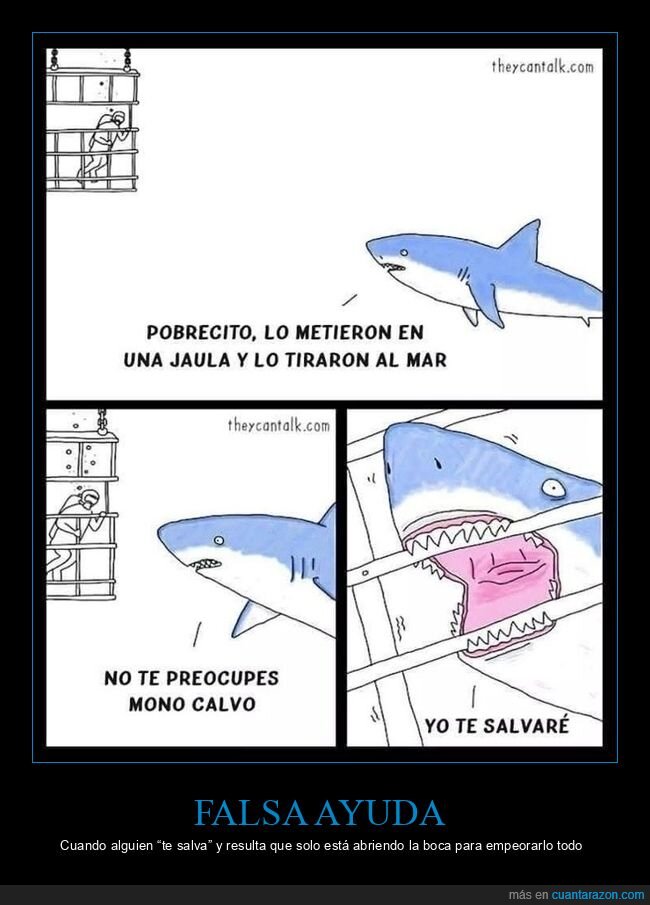 tiburon,jaula,rescate,peligro,malentendido