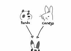 Enlace a Mezcla de panda y conejo… y sale el jefe de proyecto