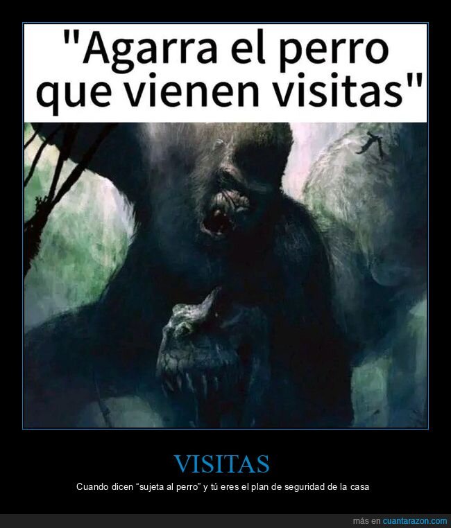 visitas,perro,gorila,miedo,casa