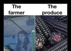 Enlace a Pedí maíz, llegó Dark Mode